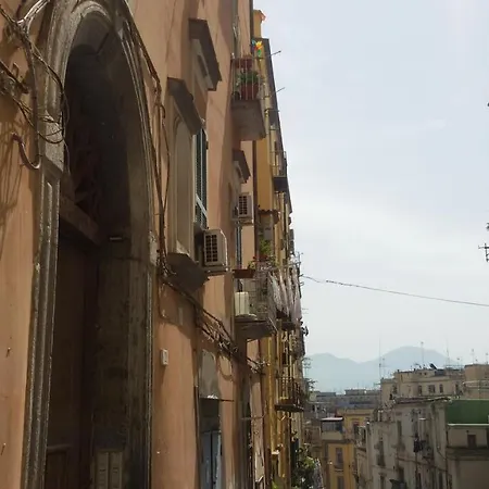 Domusrealstella-2